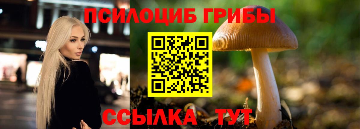 Галлюциногенные грибы мухоморы  Вход с VPN  Ростов Великий  Галлюциногенные грибы Cubensis 
